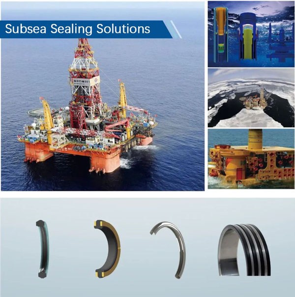 subsea sealing solutions