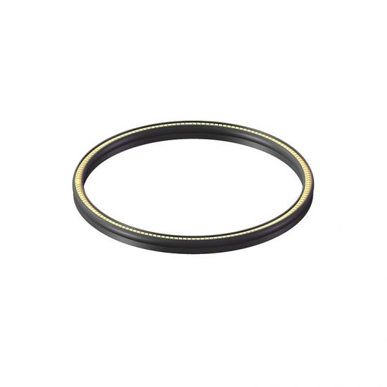 Spring energized PTFE seals